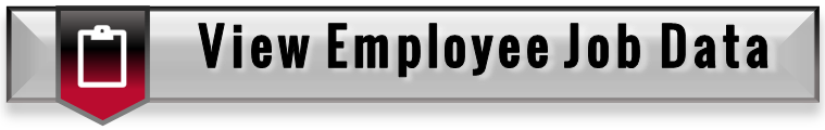 View Employee Job Data Button
