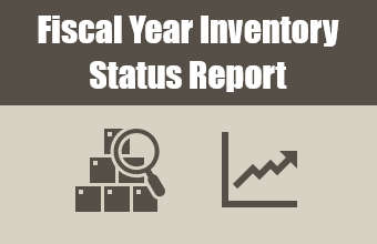 fiscal year inventory status report