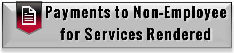 Payments to Non-Employee for Services Rendered Button