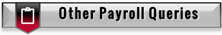 Other Payroll Queries Button