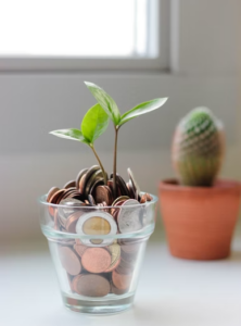 Picture of a cup filled with coins with two sprigs coming out of it.